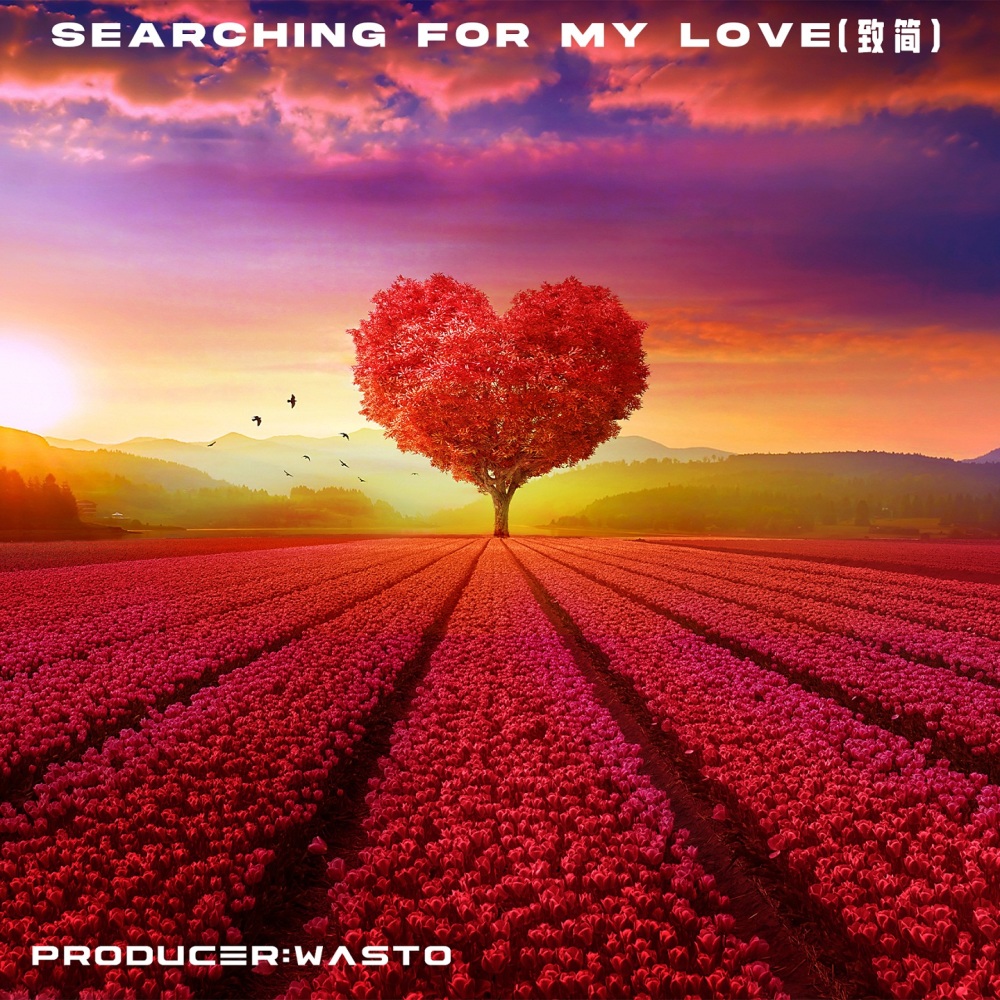 Searching For My Love (致简)