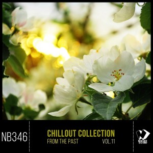 Various Artists的專輯Chillout Collection from the Past, Vol. 11