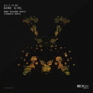 Dengarkan lagu Gone Girl (Starkato Remix) nyanyian Wild Mind dengan lirik
