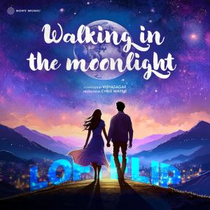 ดาวน์โหลดและฟังเพลง Walking in The Moonlight (Lofi Flip) พร้อมเนื้อเพลงจาก Chris Wayne