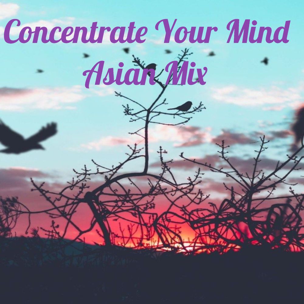 Concentrate Your Mind Asian Mix