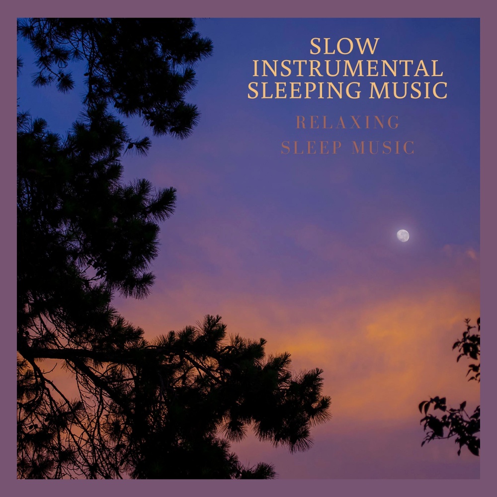 Sleepy Summer Nights