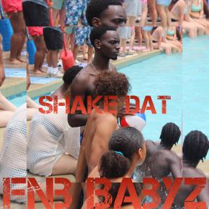 收聽Fnb BabyZ的Shake dat (Explicit)歌詞歌曲