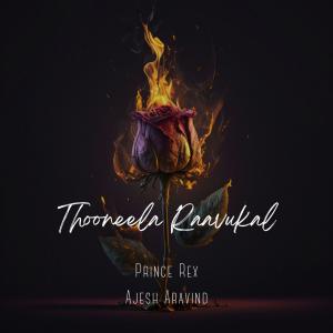 Prince Rex的專輯Thooneela Raavukal