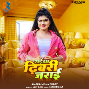 Nisha Dubey的專輯Saiya Dhibari Jarai