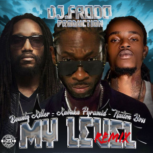 My Level (DJ Frodo Remix) [Explicit] dari Nation Boss