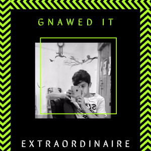 Extraordinaire的專輯Gnawed It!