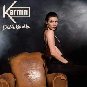 อัลบัม Didn't Know You ศิลปิน Karmin