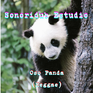 ดาวน์โหลดและฟังเพลง Oso Panda พร้อมเนื้อเพลงจาก Sonoridub