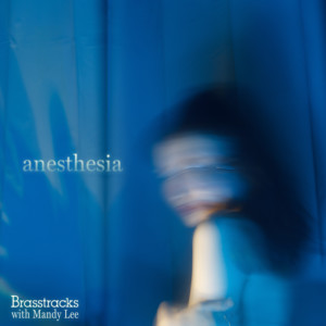 Album Anesthesia oleh Brasstracks