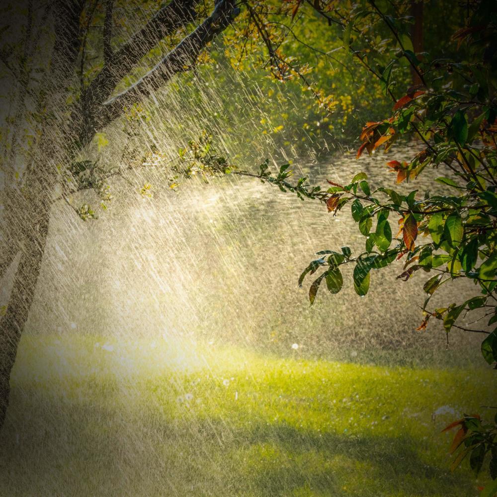 Relieve Stress and Calm the Mind with Soothing Rain and Nature Sounds