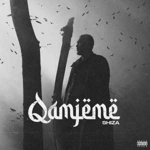 Listen to Qamjeme (Explicit) song with lyrics from Shiza