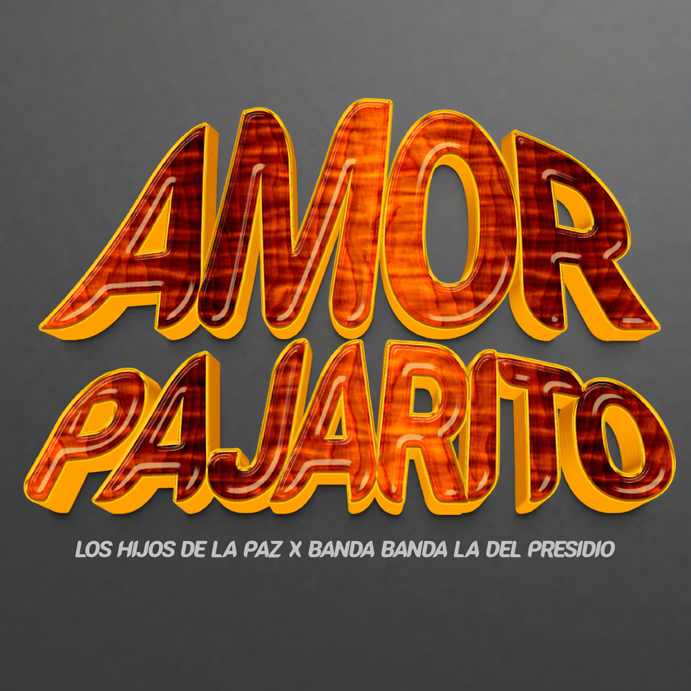 Amor Pajarito