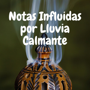 Lluvia Relajante的专辑Notas Influidas Por Lluvia Calmante