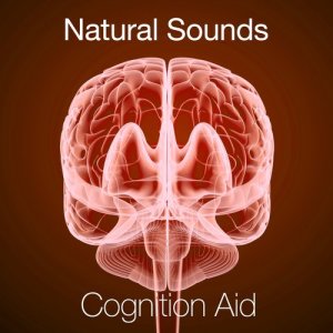 ดาวน์โหลดและฟังเพลง Calm Flow พร้อมเนื้อเพลงจาก Exam Study Nature Music Nature Sounds