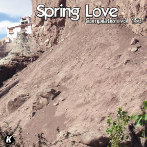 Listen to I'm Strong (Salvo DJ Mix) song with lyrics from Salvo DJ