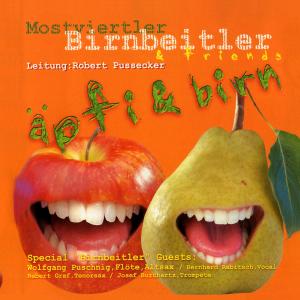 收听Mostviertler Birnbeitler的Surfin U.S.A.歌词歌曲