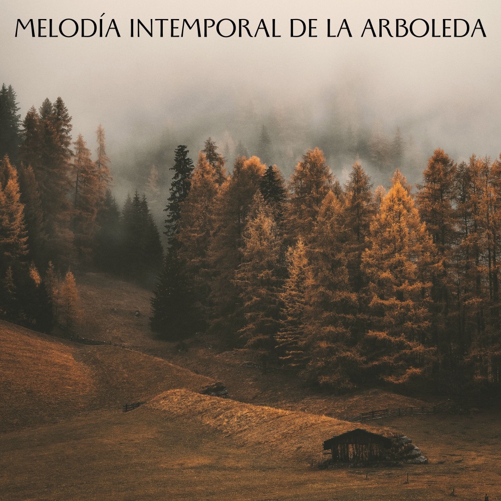 Sonido De Serenidad