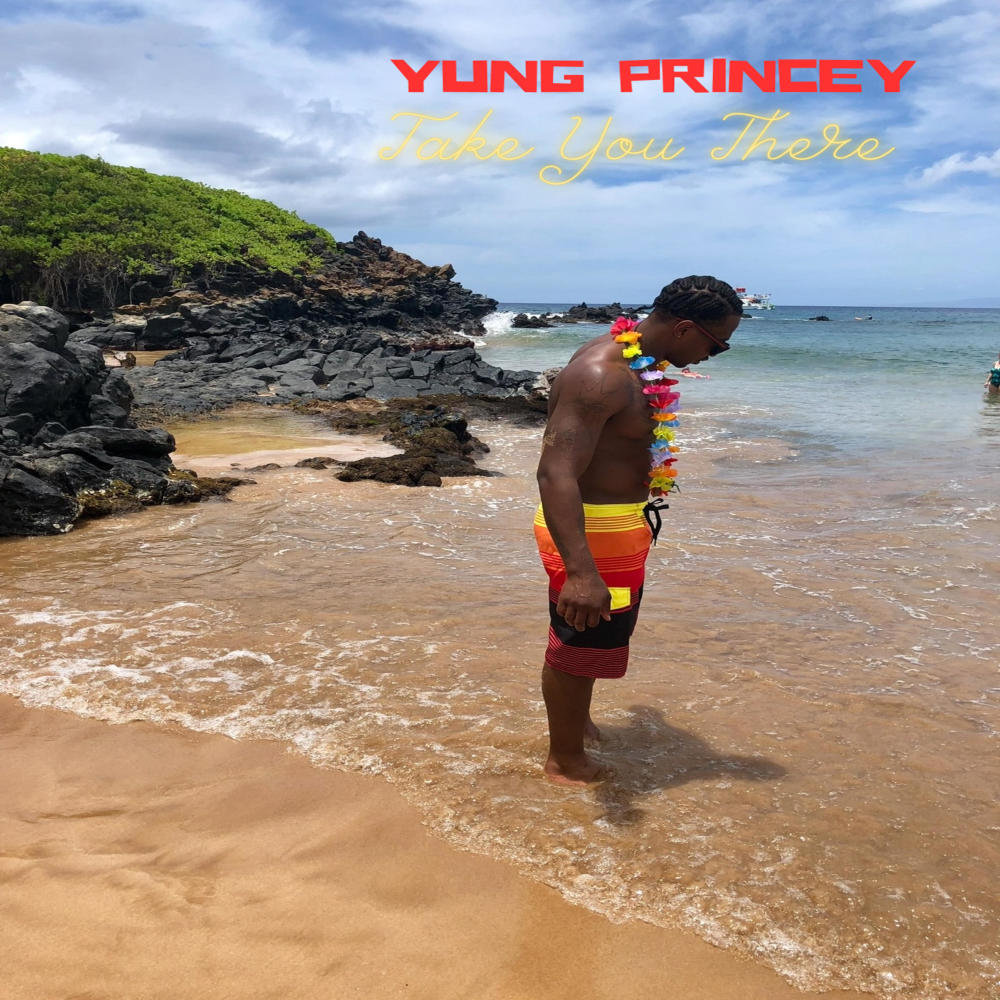 T.Y.T. (feat. Fliptunesmusic) (Explicit)