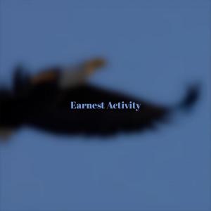 Various Artists的專輯Earnest Activity