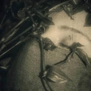 Listen to Hiç song with lyrics from Gomeisa