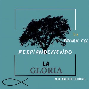 Listen to Resplandecer Tu Gloria (Resplandeciendo la Gloria) (其他) song with lyrics from Promil ESL
