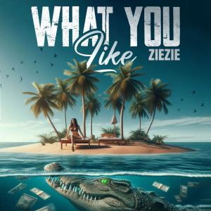 ZieZie的專輯What you like