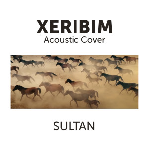 Xeribim (Acoustic Cover)