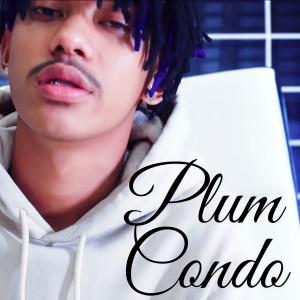 ดาวน์โหลดและฟังเพลง Plum Condo พร้อมเนื้อเพลงจาก BABYBIGBOY