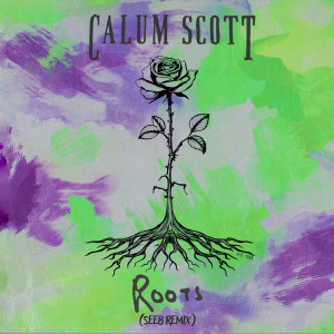 Calum Scott的專輯Roots (Seeb Remix)