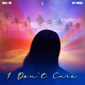 ดาวน์โหลดและฟังเพลง I Don't Care พร้อมเนื้อเพลงจาก Small ToK