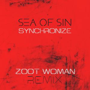 Zoot Woman的專輯Synchronize