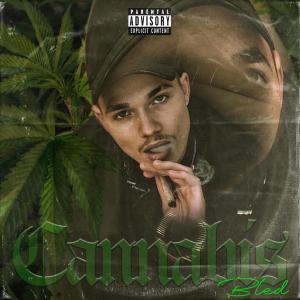 Listen to Cannabis (Explicit) song with lyrics from Bled