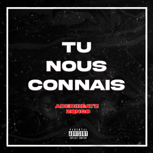 Listen to Tu nous connais (Explicit) song with lyrics from AdediBeatz
