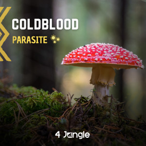 Listen to Parasite song with lyrics from Cold Blood