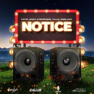 Listen to Notice song with lyrics from Chyst