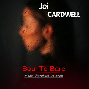 Listen to Soul To Bare (Miles Blacklove Extended Amapiano Instrumental) song with lyrics from Joi Cardwell