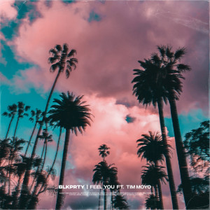 Album Feel You (Explicit) oleh Blkprty