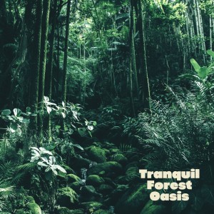 ดาวน์โหลดและฟังเพลง Tranquil Forest Oasis พร้อมเนื้อเพลงจาก Sardinia Sleep