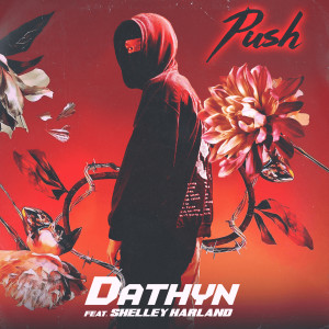 Listen to Push (Explicit) song with lyrics from Dathyn