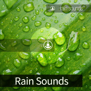Dengarkan lagu Rain Sounds nyanyian Tracks of Nature dengan lirik
