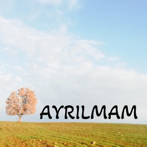 Berdan Mardini的专辑Ayrılmam