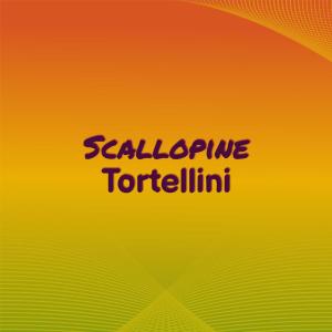 Dengarkan lagu Handsome Morning nyanyian Enric Hiva dengan lirik