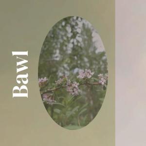 Album Bawl from 