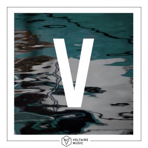 Album Voltaire Music pres. V from 