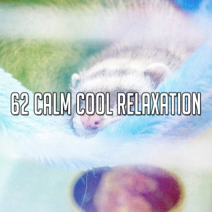 Listen to Sleep Finder song with lyrics from Spa Music Paradise