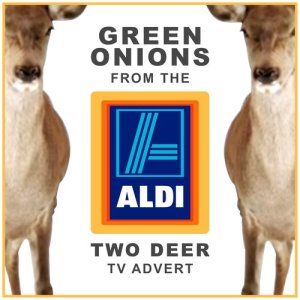 Green Onions (From the Aldi "Two Deer" T.V. Advert)