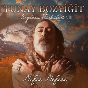 Listen to Sevdamın Yurdu song with lyrics from Tünay Bozyigit