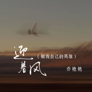 Album 迎着风 (做我自己的英雄) from 