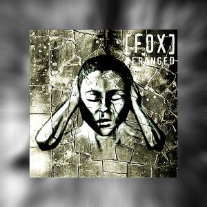 Listen to Deranged (Ududuri remix)((Ududuri remix)) (Remix) song with lyrics from FOX